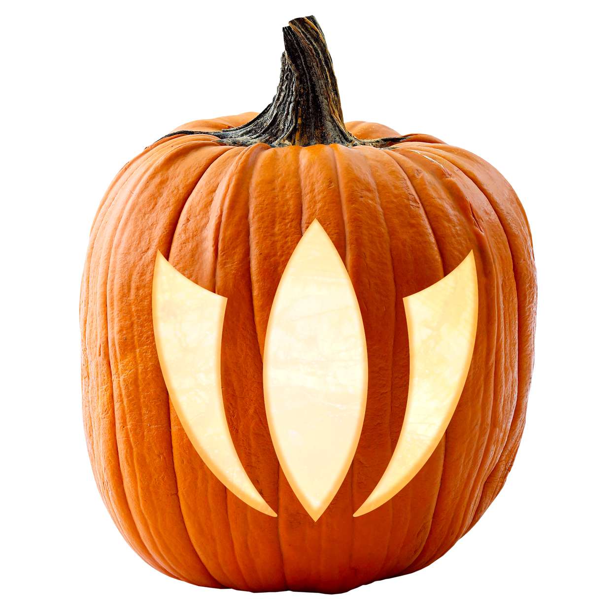 stylized flower halloween pumpkin carving stencil