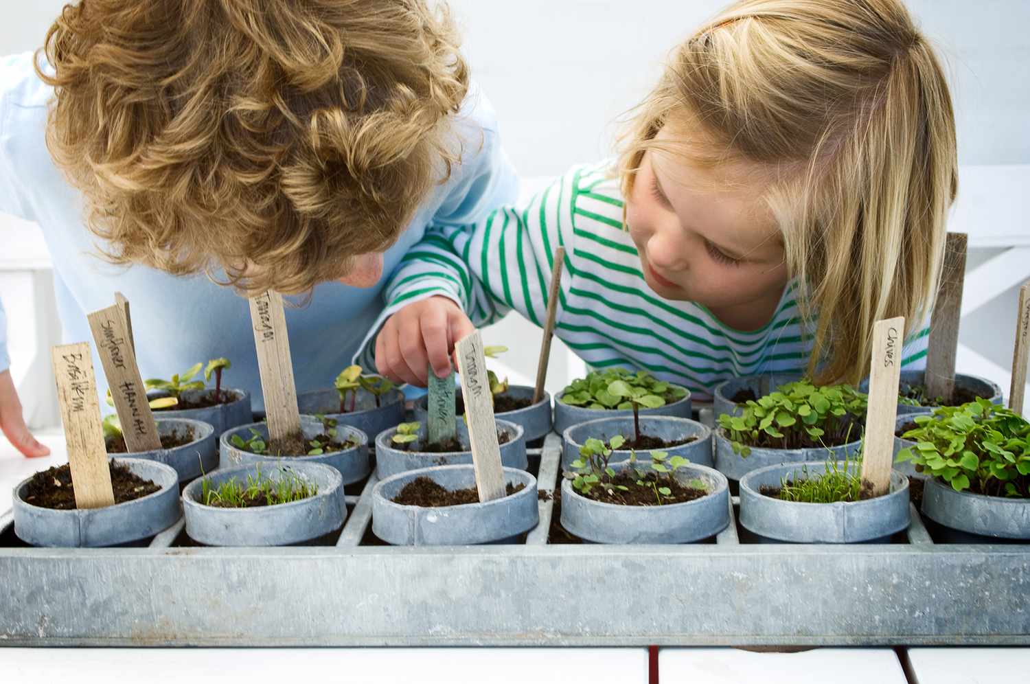 kids playing with a gardening kit and seedlings at home