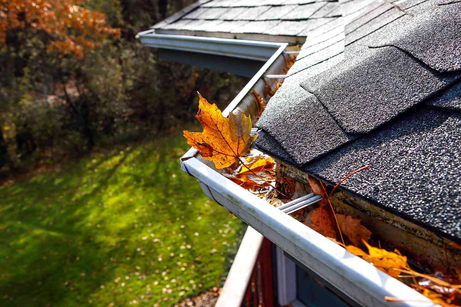 fall leaves and dirt stuck in gutters of home with shingled roof