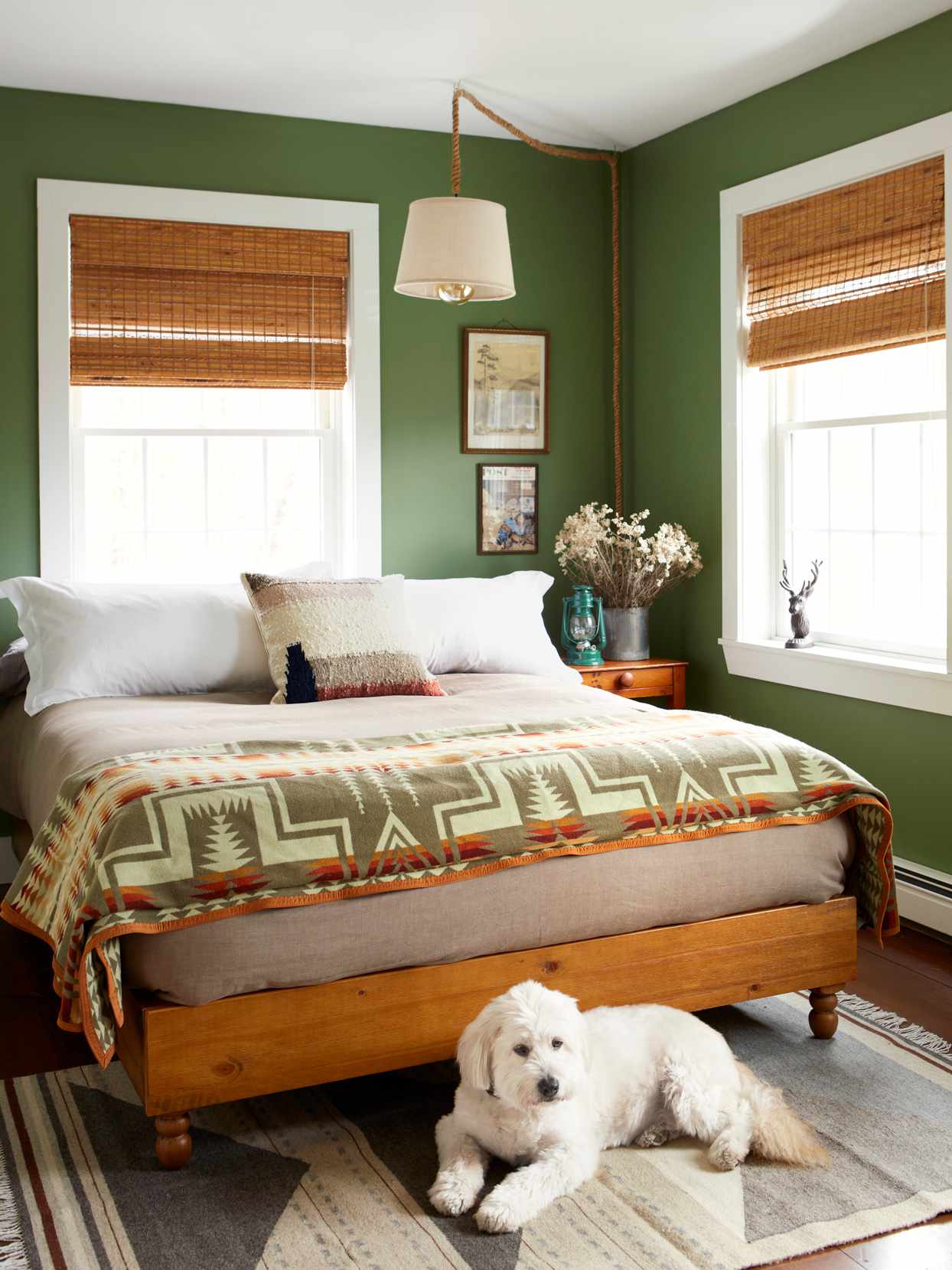 cozy green bedroom with dog on floor