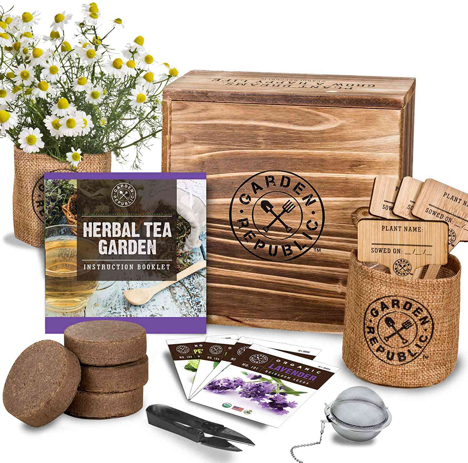 indoor herb garden seed kit