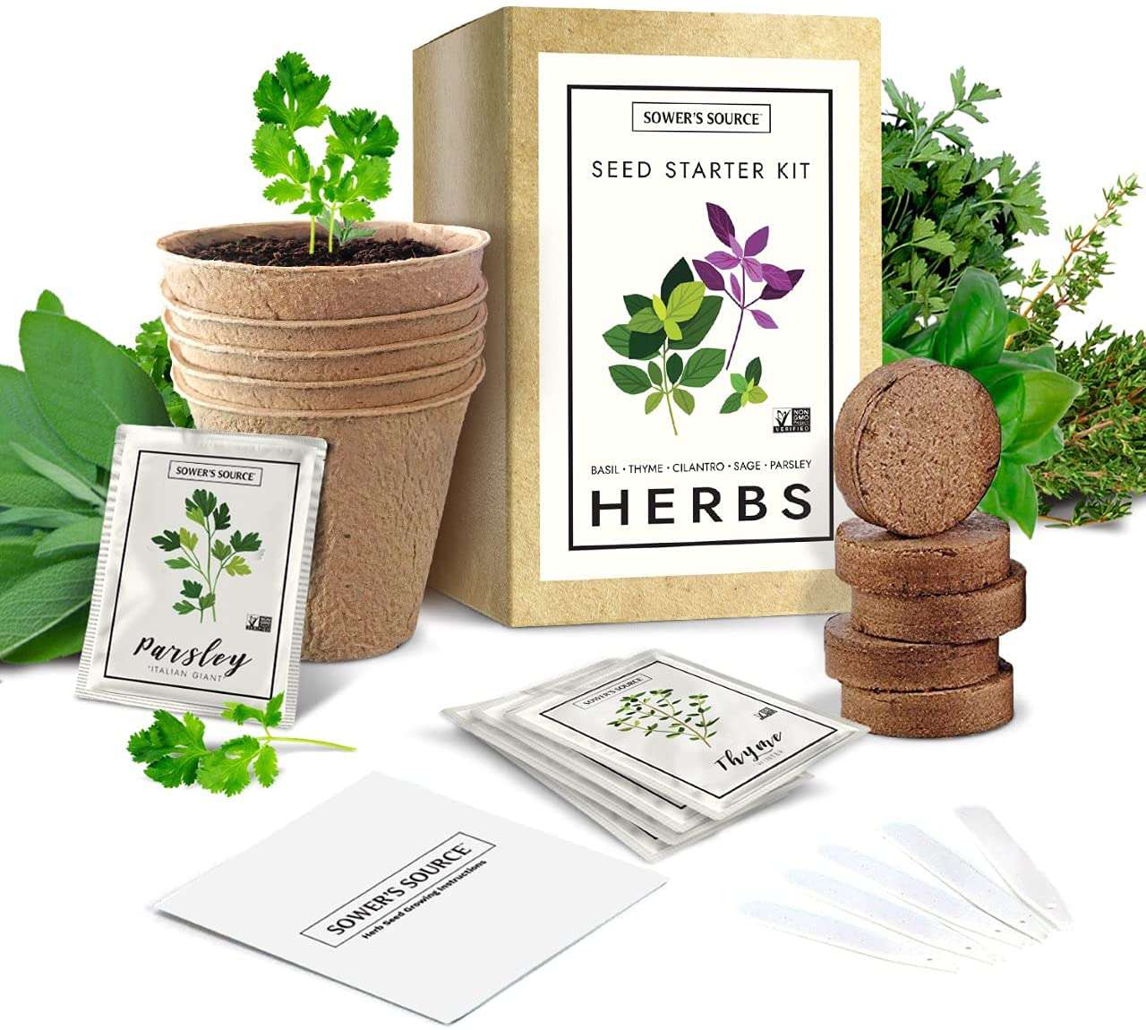 indoor herb seed starter kit
