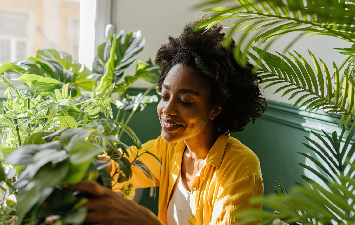 woman inspecting houseplants for common pests