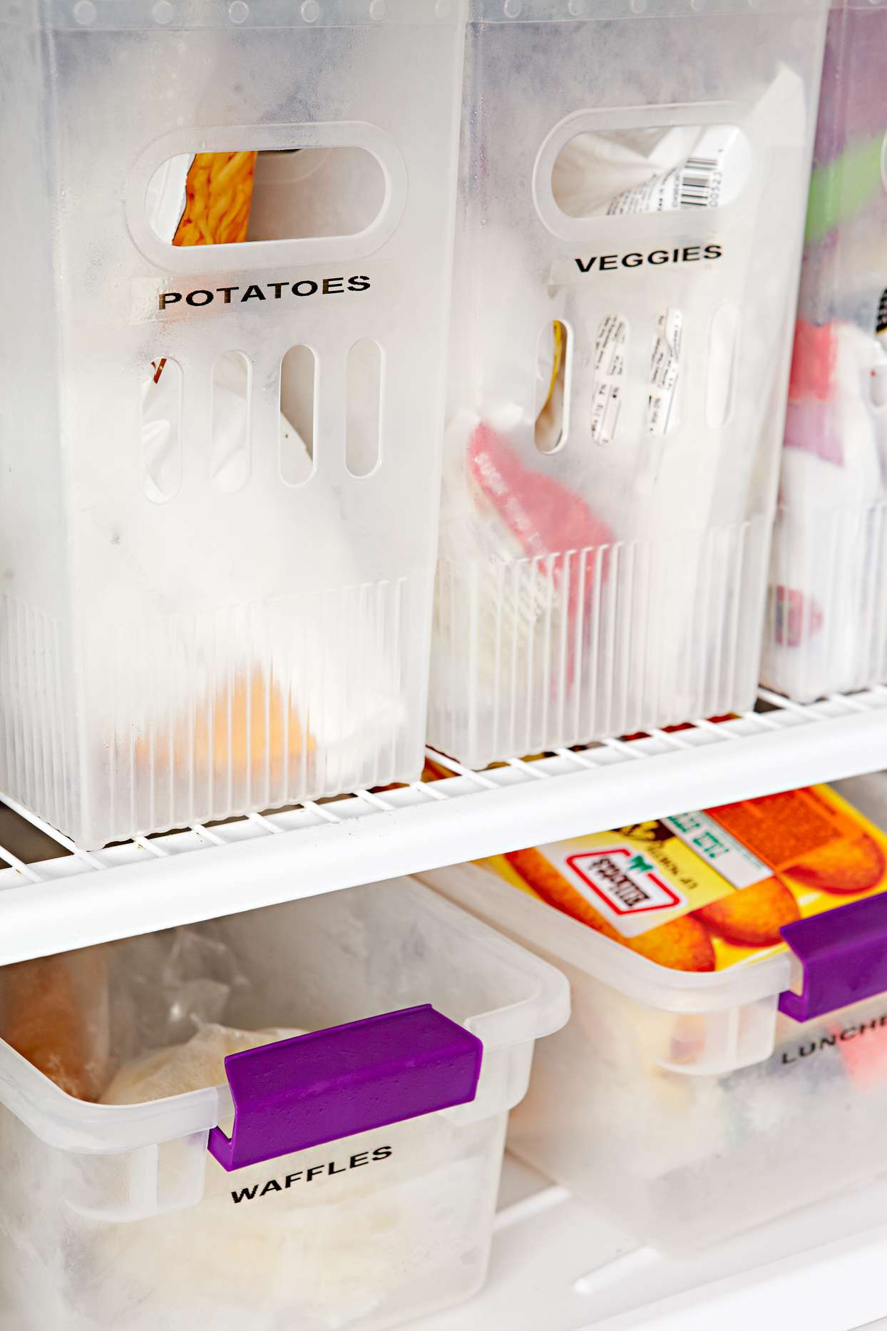 freezer storage plastic bins containers