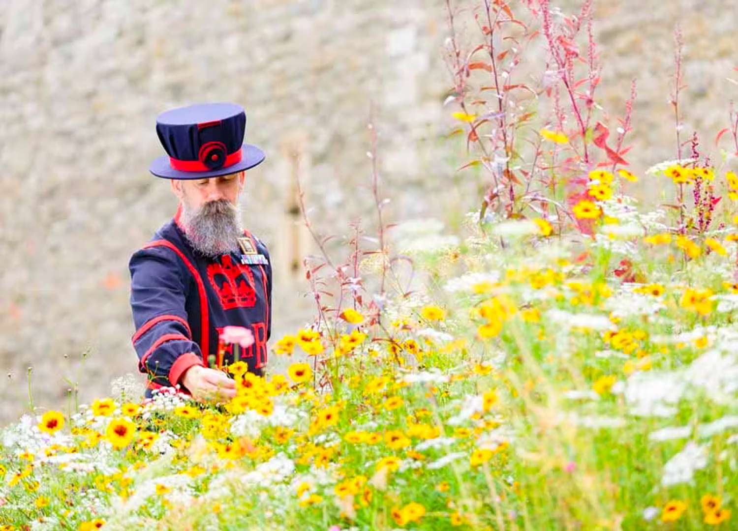 Person in field of flowers outside the Tower of London for Superbloom event in the UK
