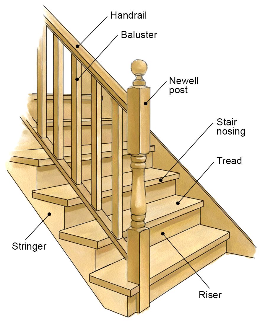 staircase anatomy illustration diagram labels