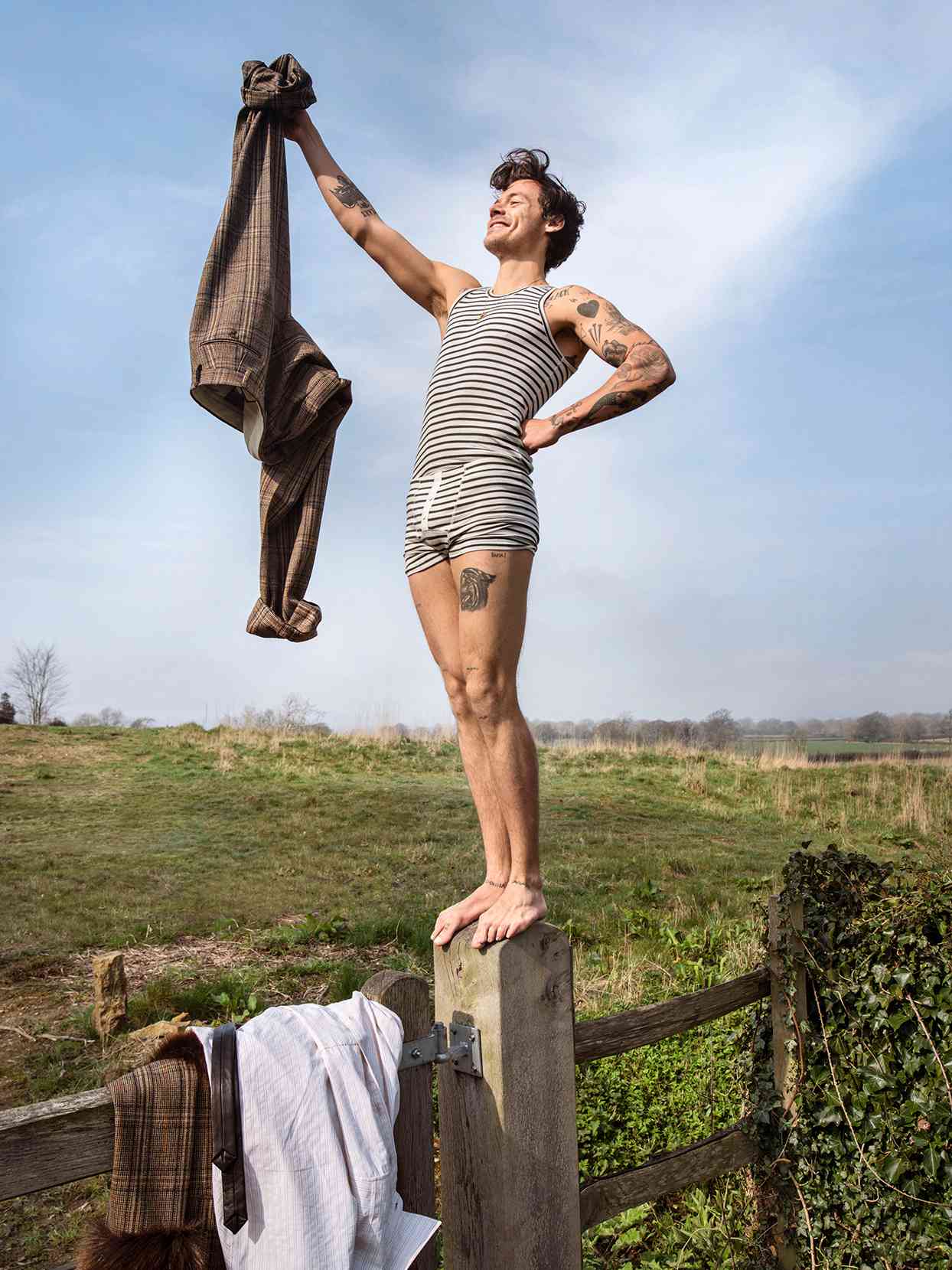 Photograph of Harry Styles standing on fence post