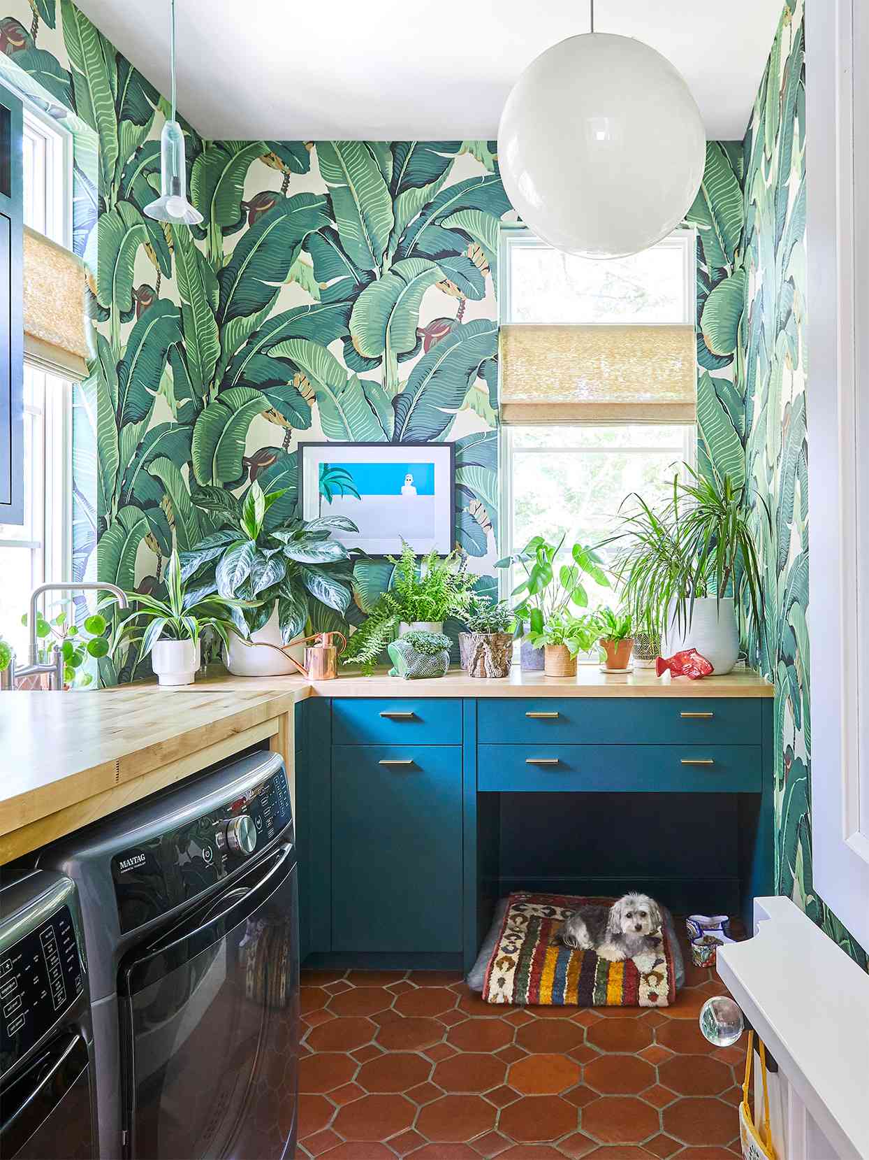 bold blue green mudroom plants wallpaper dog botanical print
