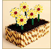 flower_box_cake
