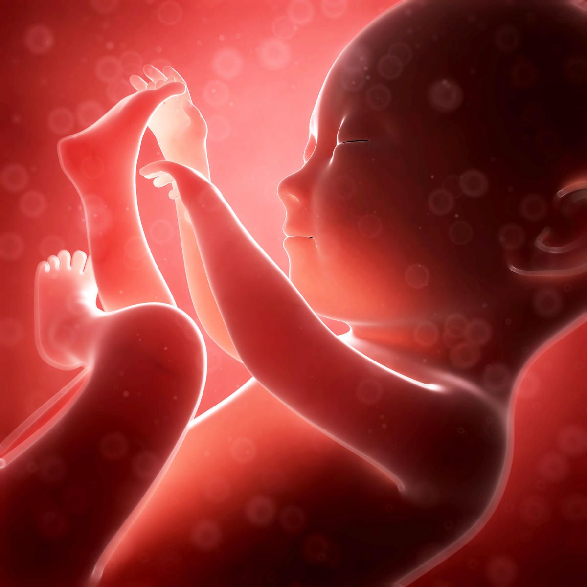 How many months can a baby hear in the womb Baby S Alertness In The Womb Parents