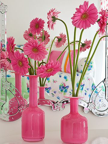 pink gerber daisy's