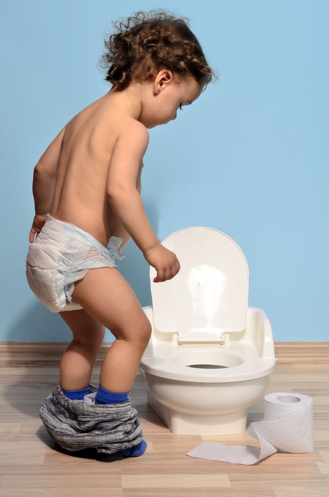 Quizler Potty Training Almost Result Baby Looking At Toilet Seat