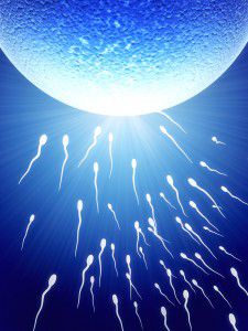 Low sperm count male infertility freezing sperm