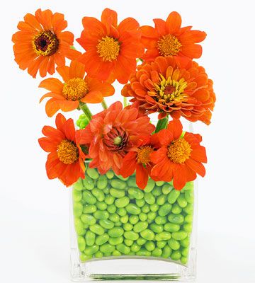 orange flowers in vase
