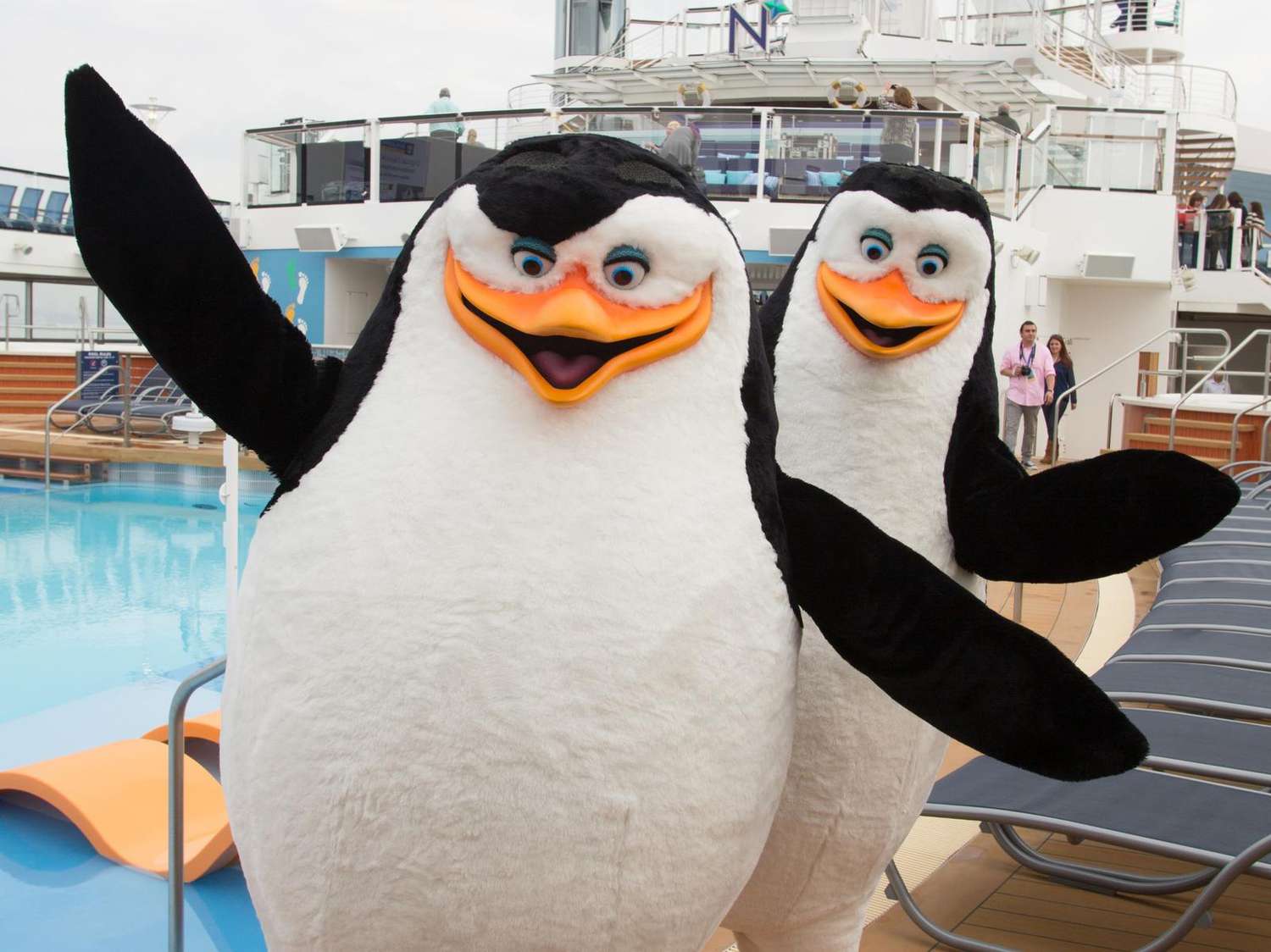 Family Cruise Lines Royal Caribbean International Penguins