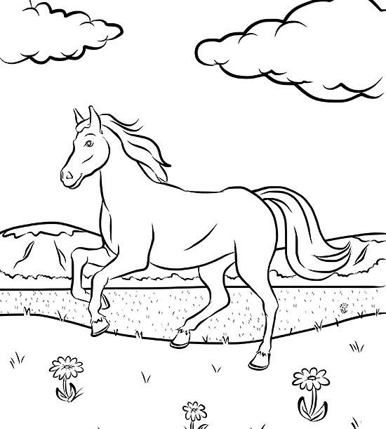 free horse coloring page parents