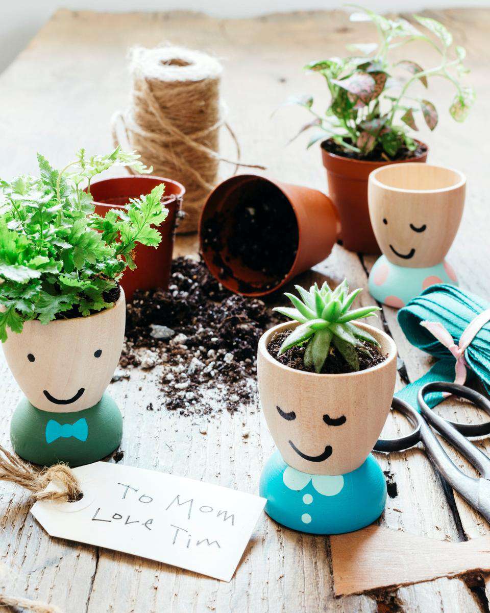 Egg-Cup Planters