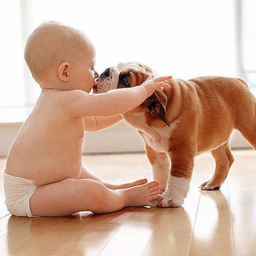 baby with pet dog