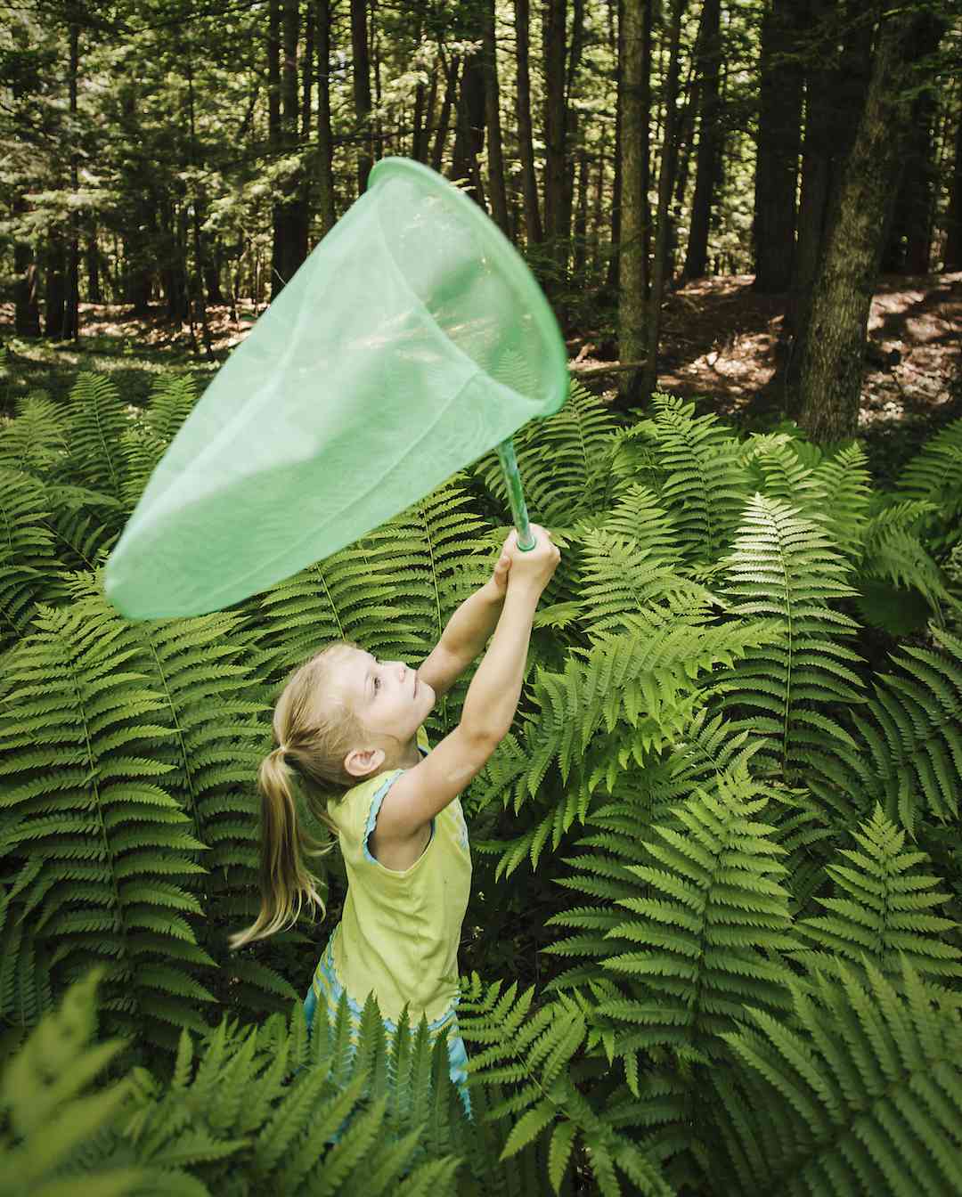Girl Catching Insects with Net