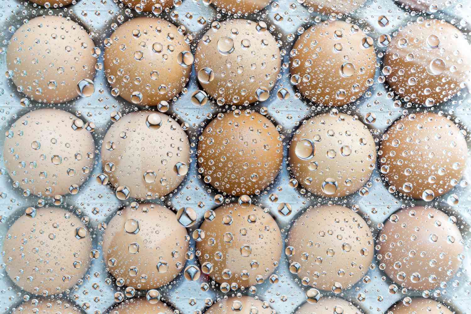 Image of frozen eggs
