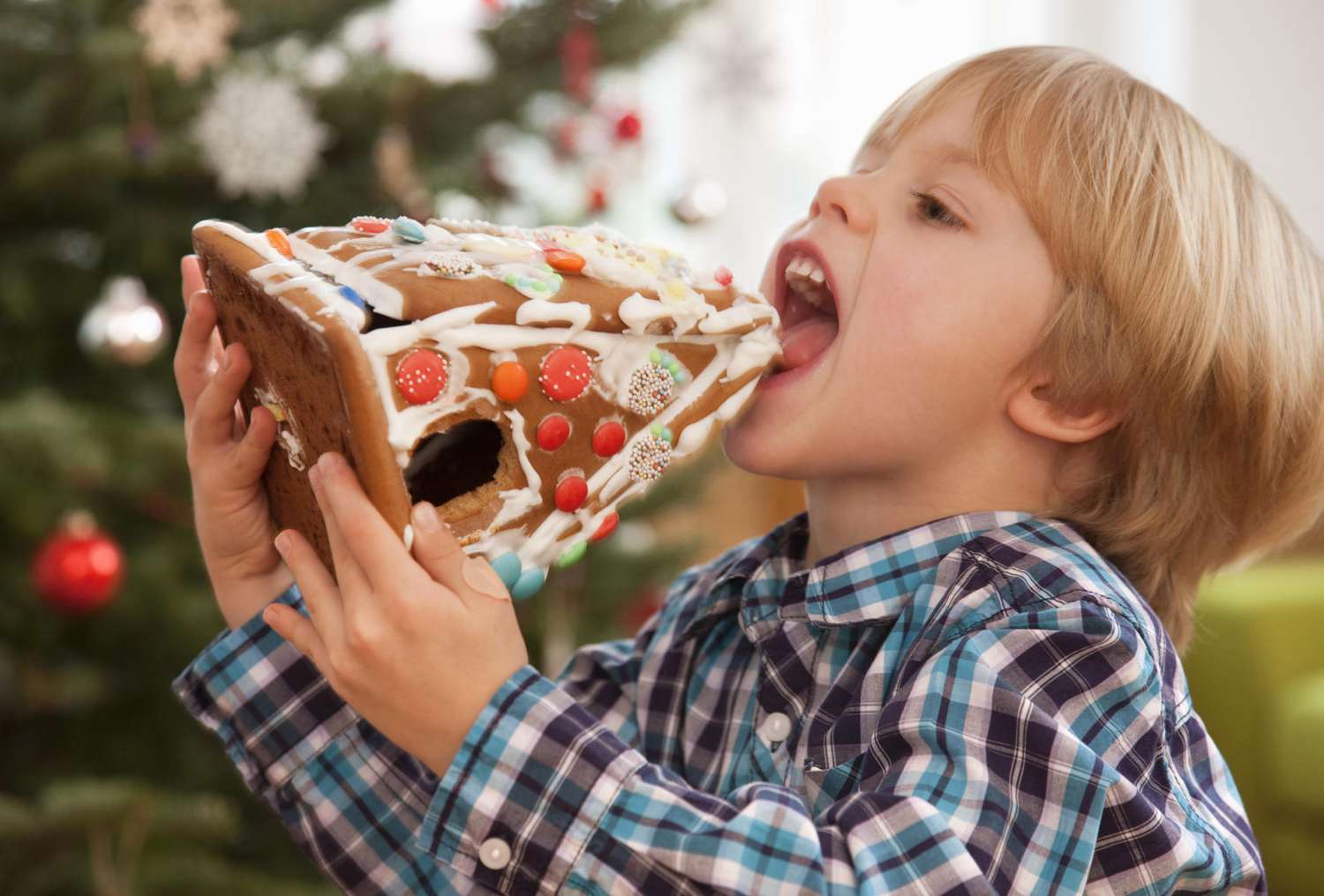 Boy eating entire gingerbread house