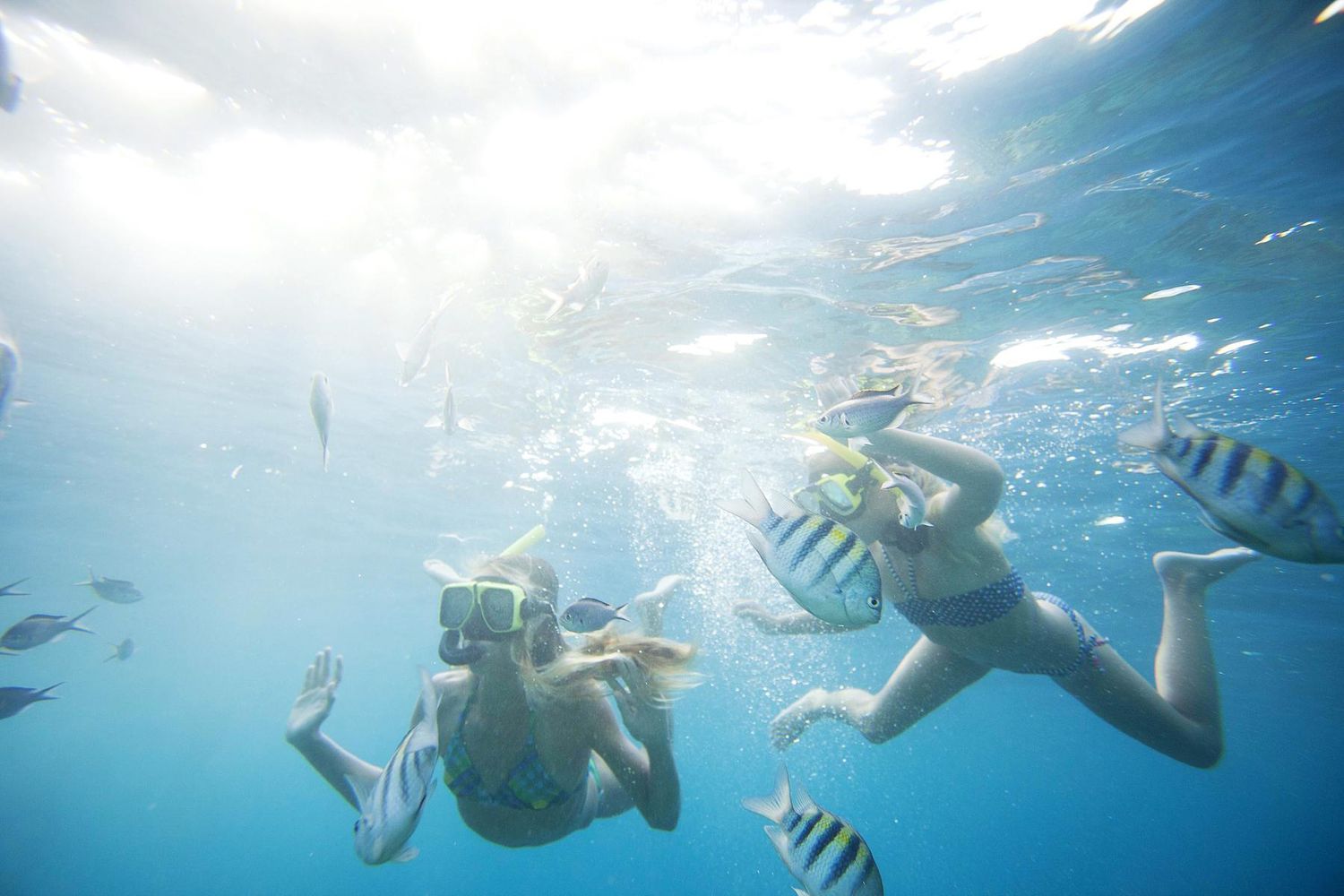Little Known SPRING Break Curacao Swimming