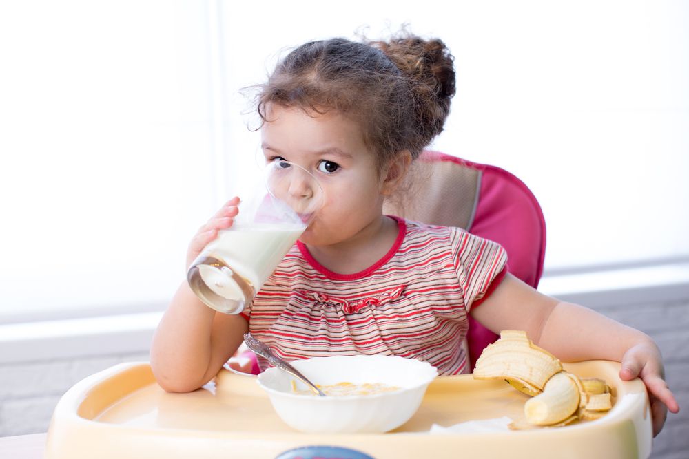 Toddler Drinking Milk