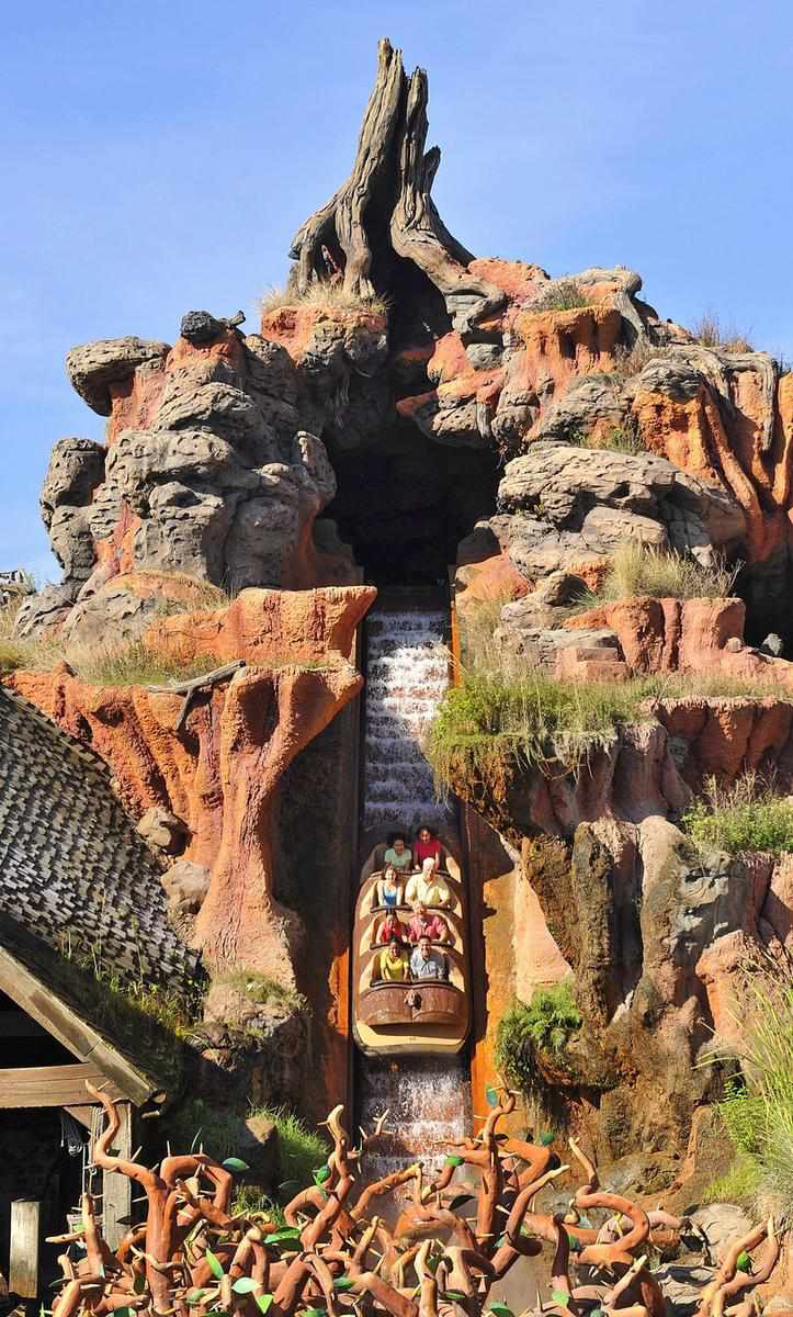 Disney Theme Park Splash Mountain Ride