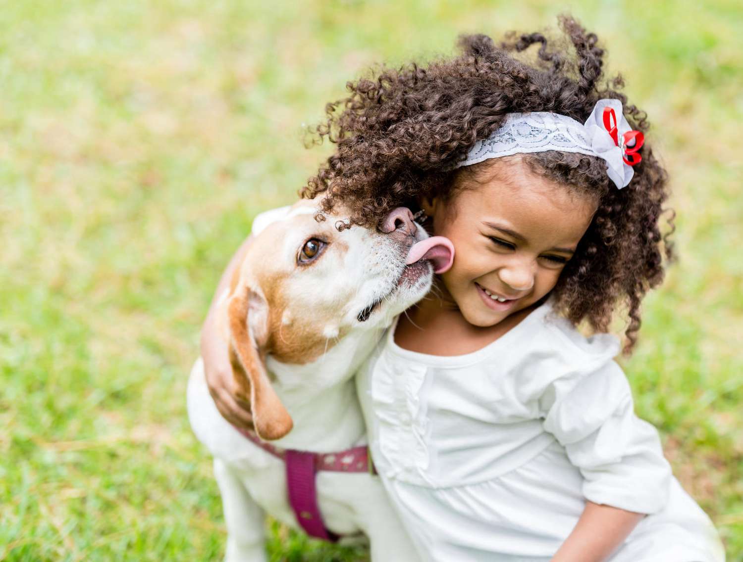 5 Tips to Teach Kids to Play Safely with Dogs | Parents