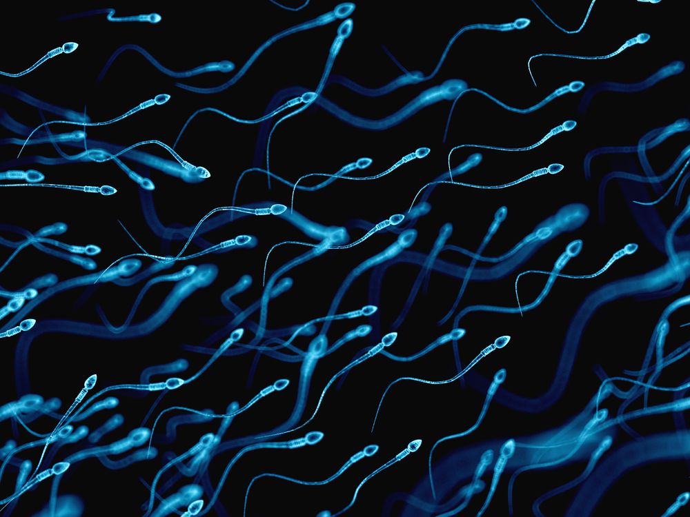 Study: Sperm count decreased