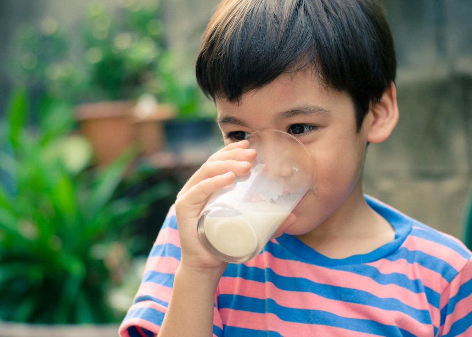 5 Myths About Milk