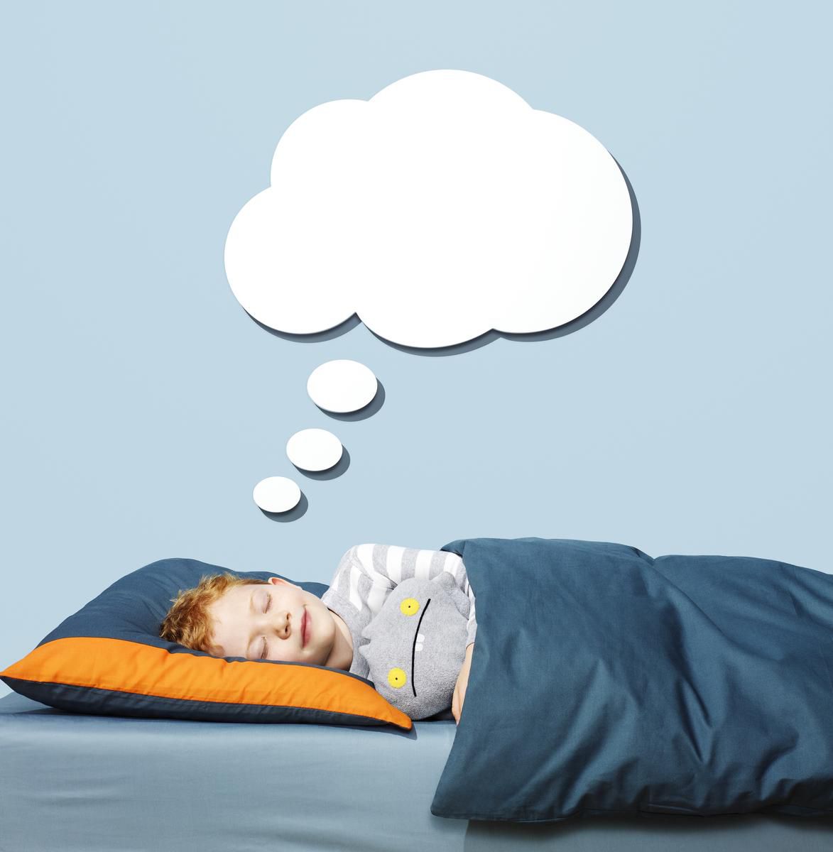 Child Sleeping and Dreaming