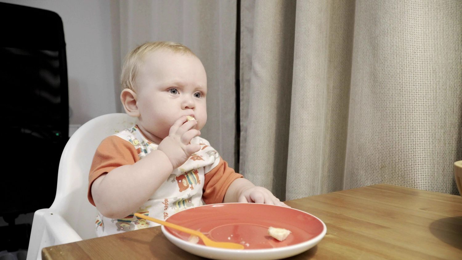 What is Baby-Lead Weaning-STILL