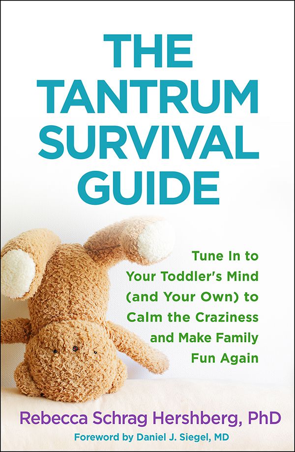 The Tantrum Survival Guide Book Cover