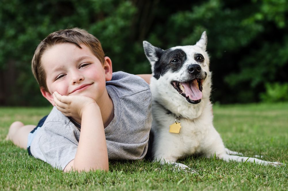 dogs help kids lower stress levels