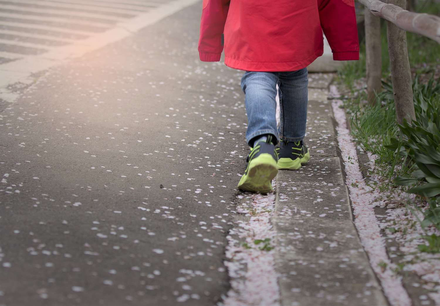 Child Walking Alone Side of Road