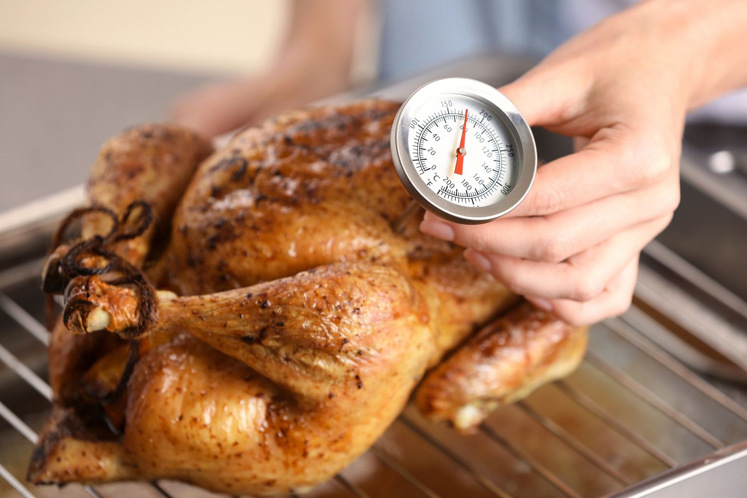 Roasted Turkey With Food Thermometer Check Temperature