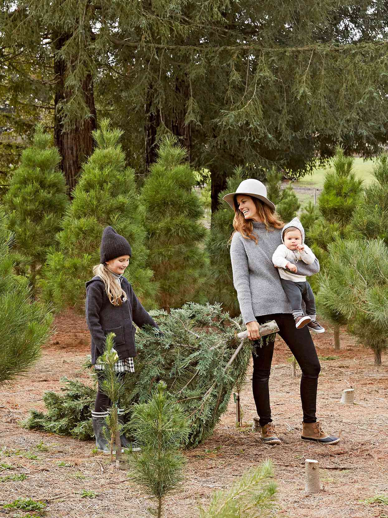 mother and kids dragging freshly cut Christmas tree in farm