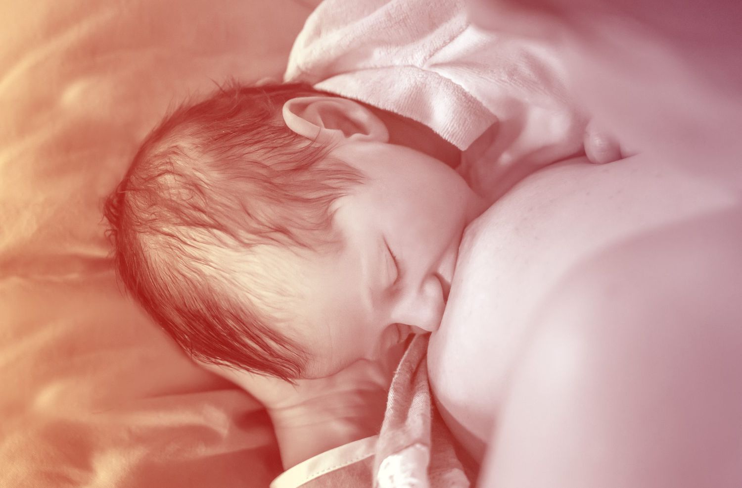 Newborn baby breastfeeding in hospital