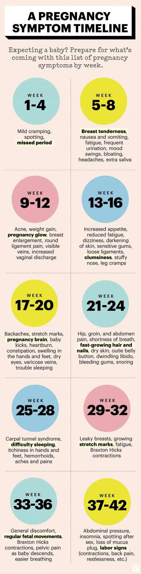 pregnancy symptom timeline by week