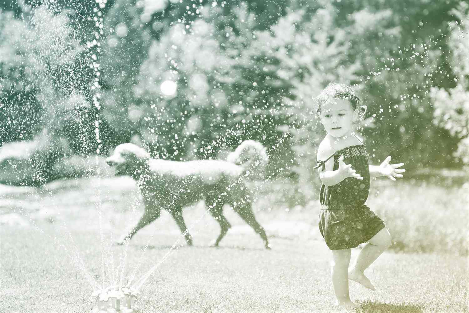 Cute little girl and her dog playing with sprinkling water