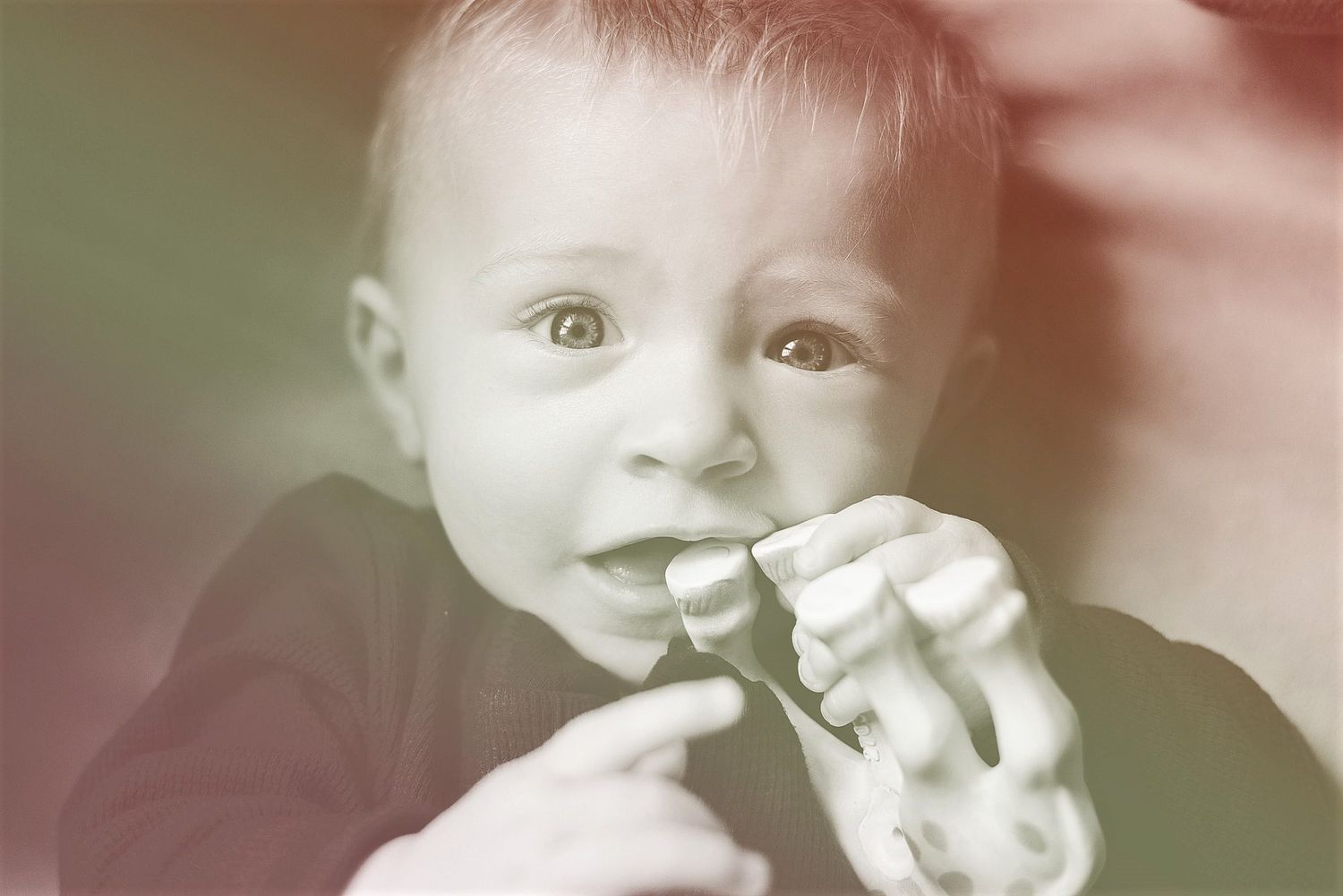 baby chewing on a toy