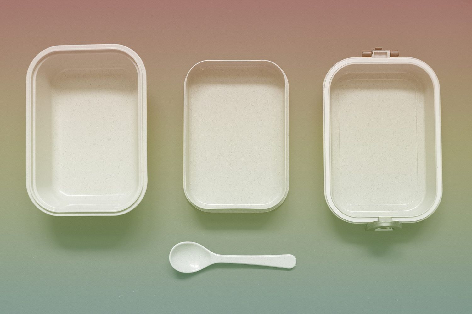 Empty bento lunch box with spoon