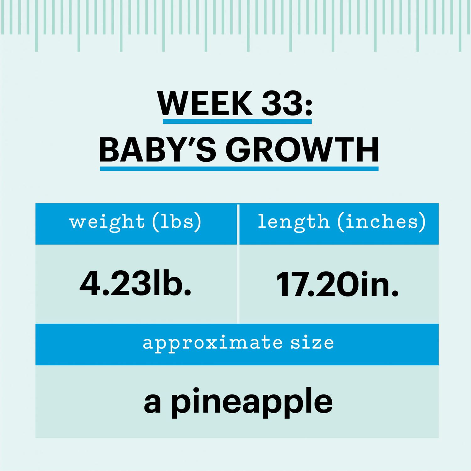 how big is baby week 33