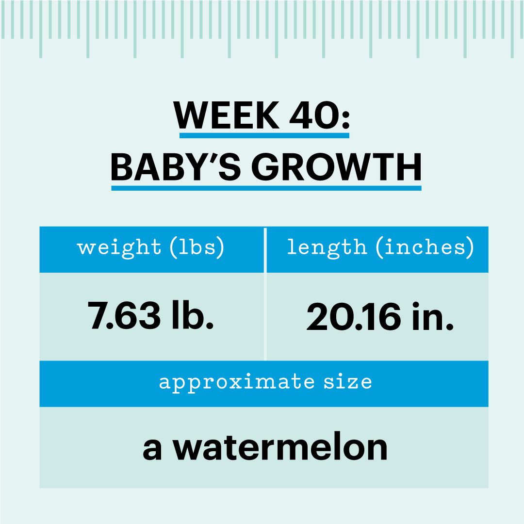 how big is baby week 40