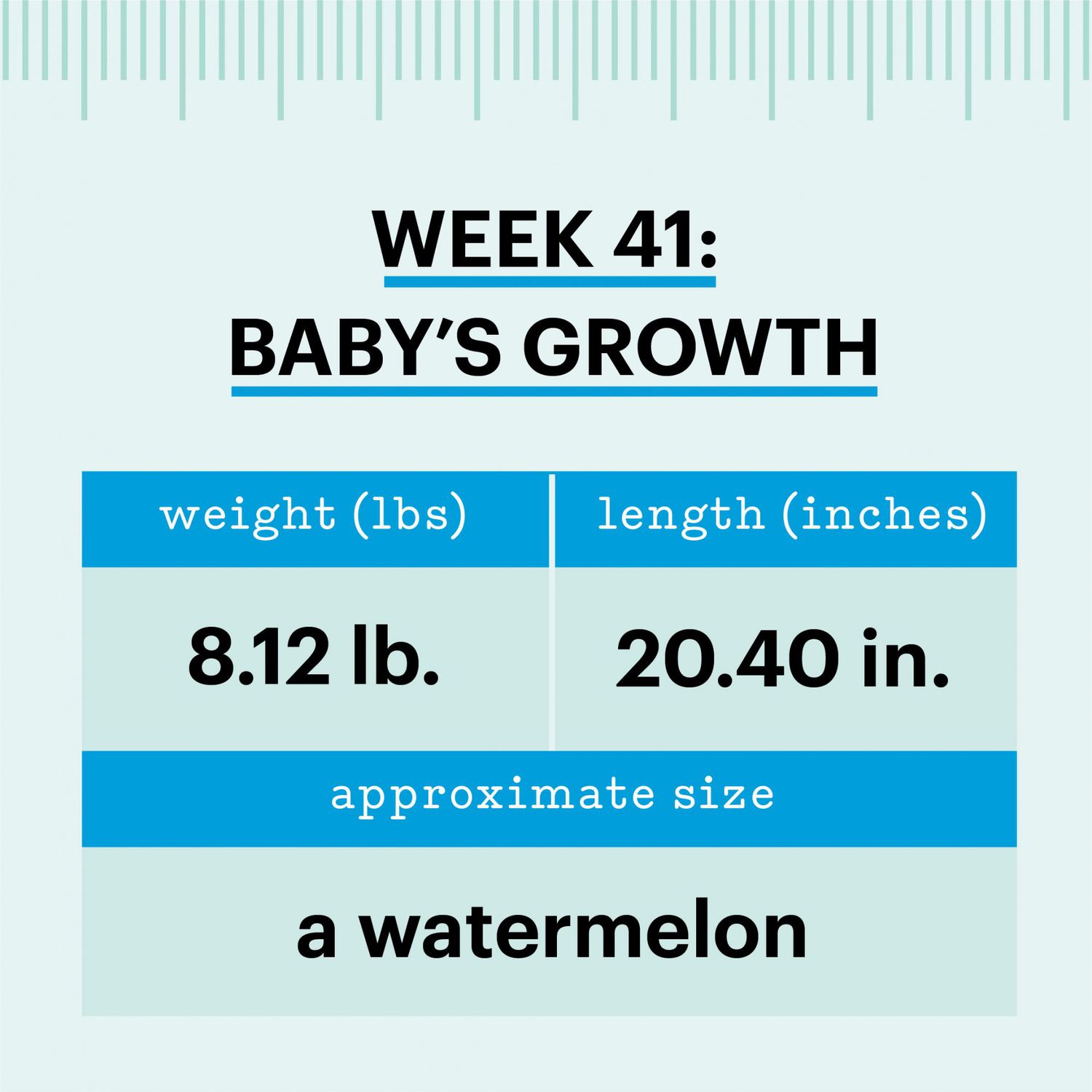how big is baby week 41