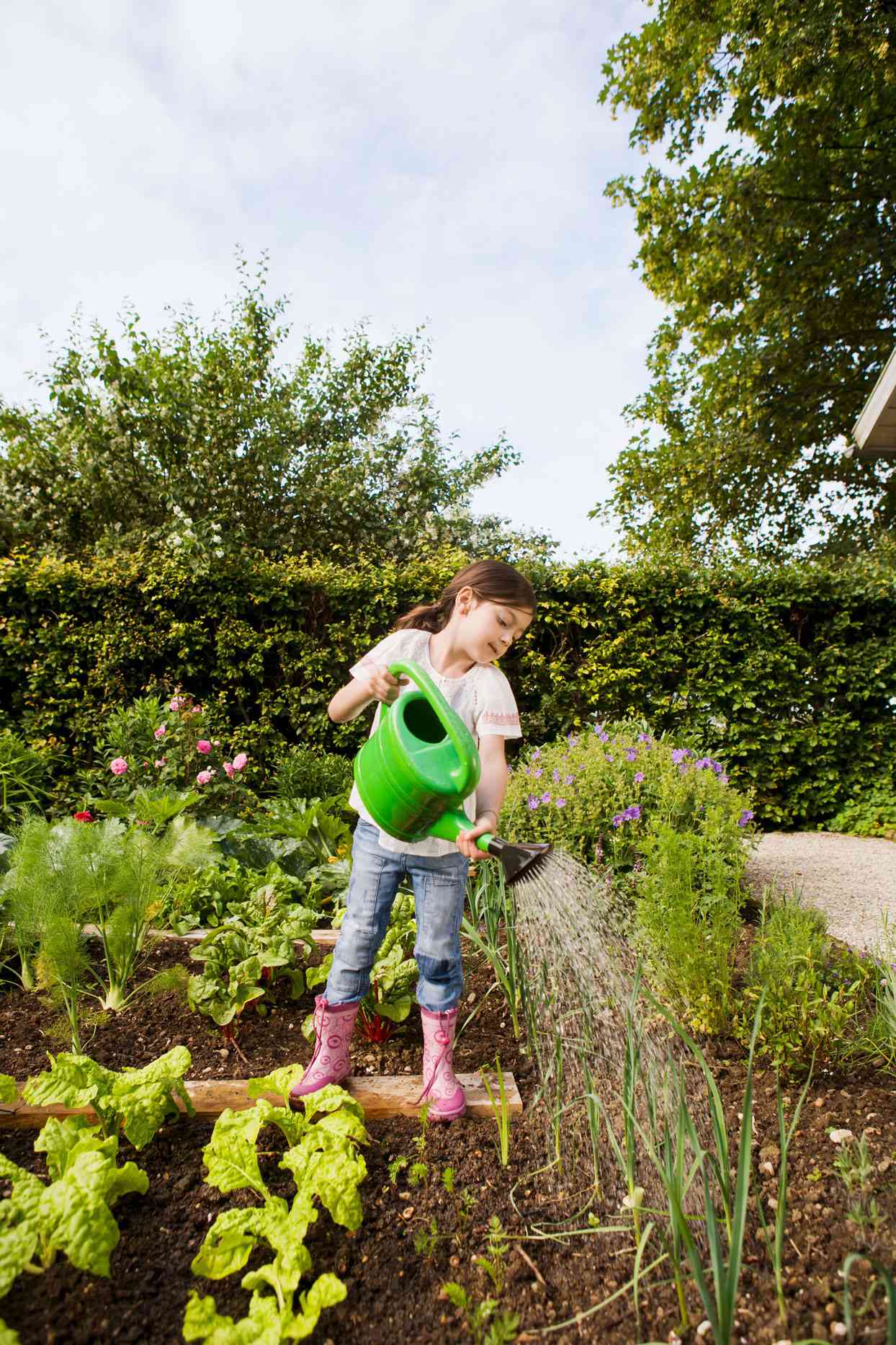 girl watering a vegetable garden