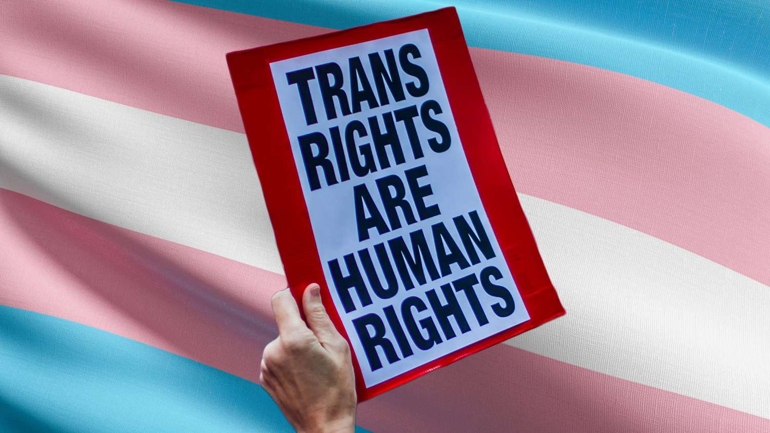 An image of a person holding a Trans rights sign on top of a Trans rights flag.