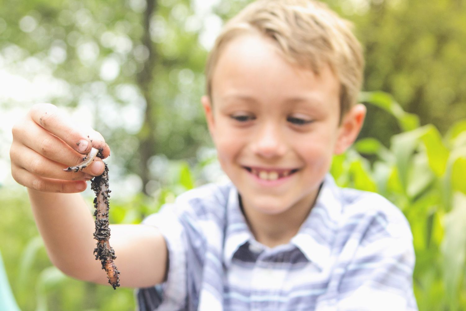 An image of a boy holding a worm.