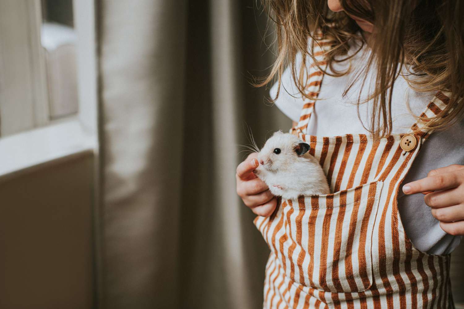 An image of a child holding a hamster.